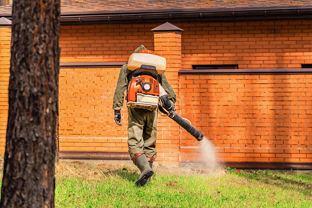 Trusted Rodent Control service in Lynn Haven, FL - Nex Pest Control